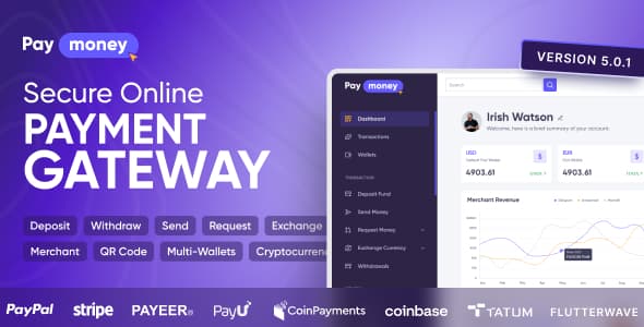 Illustrative payment platform preview for PayMoney; not a product screenshot